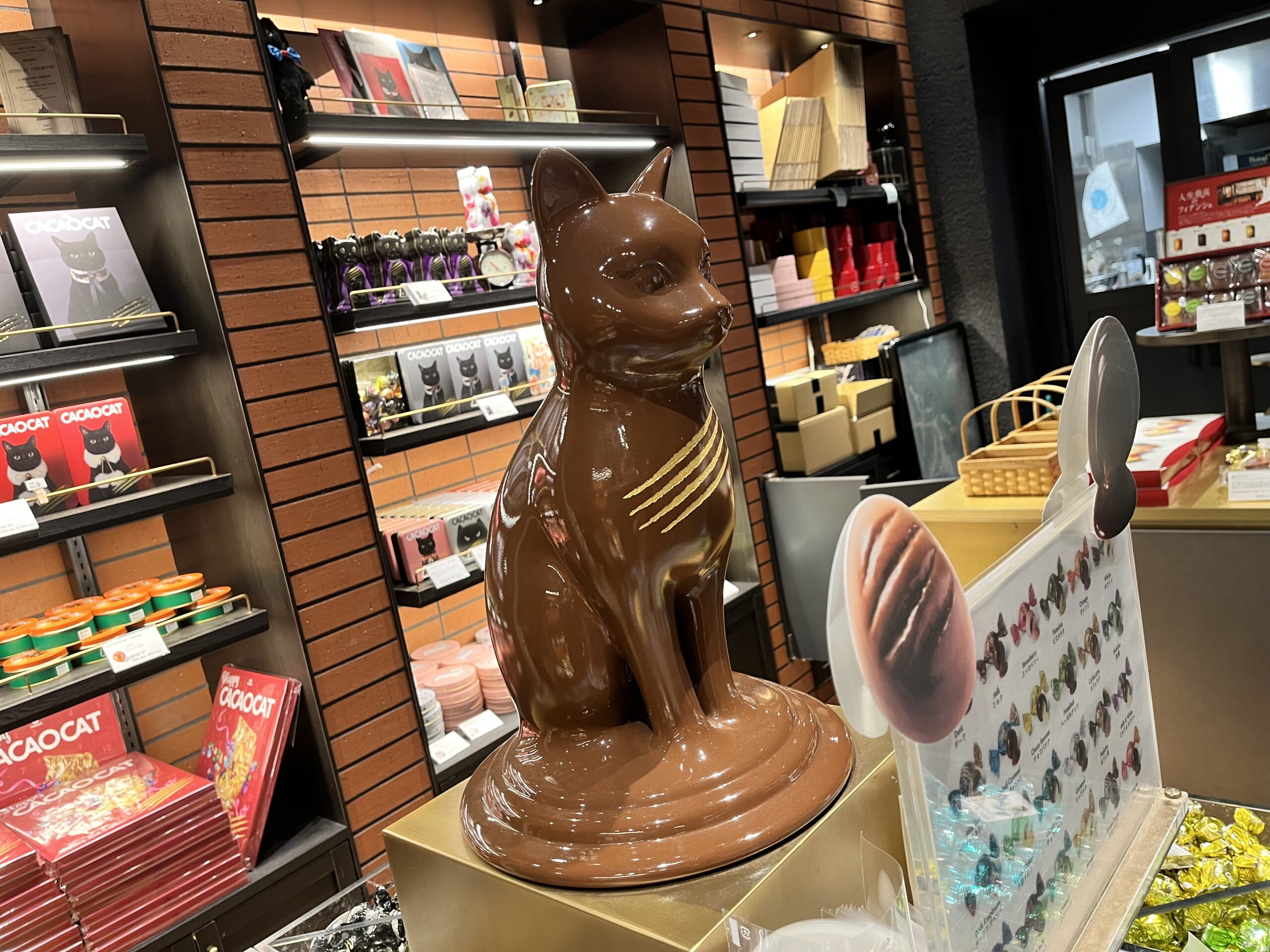 カカオキャット（CACAO CAT）